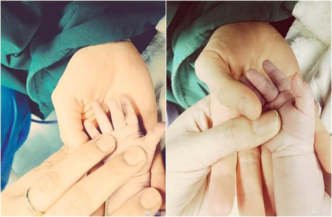 郎朗喜晒一家三口握手温馨照。（图／翻摄自微博）