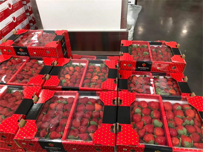 冬天一到，好市多的各种草莓又成为民眾的扫货目标。(图／Costco好市多商品经验老实说)