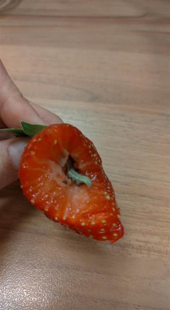 女网友回家后开心咬一口，却发现草莓里面竟有一只完整的绿色小虫，让她好崩溃，网友看到也直呼「以后不敢一口吃了」 (图／Costco好市多 商品经验老实说)