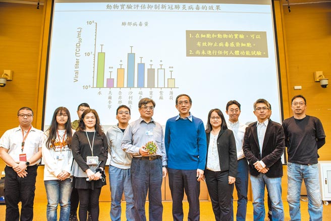 中研院的团队找出5种具有抑制新冠病毒活性效果的潜力药物。（中研院提供／林志成台北传真）