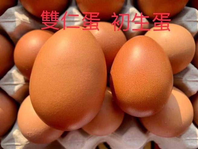 女子连续打出九颗双蛋黄的蛋，让她忍不住怀疑人生，对此则有内行人跳出来解释，其实双蛋黄是可以挑的，因为会比一般的蛋还要大。（图／翻摄自爆废公社二馆）