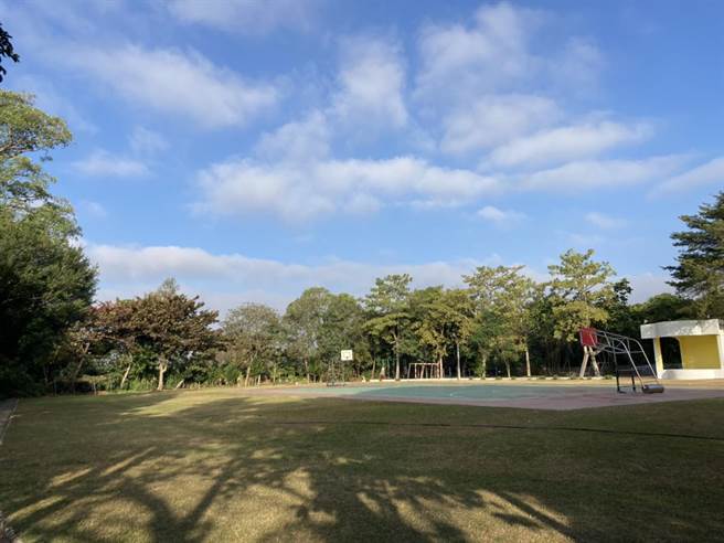 台南市大部分校園樹木蓊鬱，全市校園樹木達5、6萬棵，今年預計將新栽種2034棵台灣原生樹種。（曹婷婷攝）