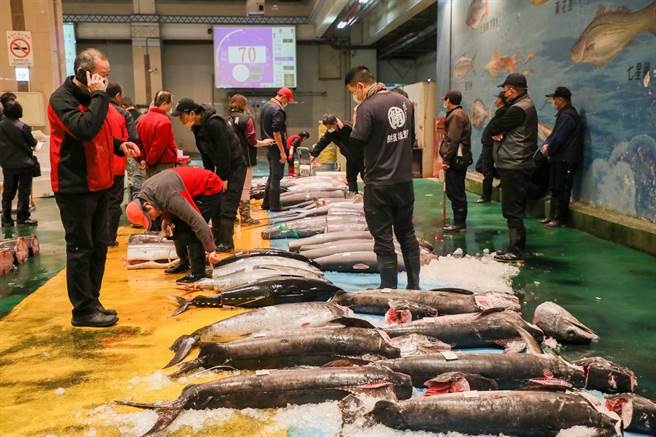 台中市长卢秀燕关心鱼货、年货供应量与市场行情，分享如何挑选鱼货、买到好鱼。（卢金足摄）