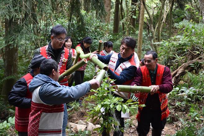 在眾人的见证下，林务局长林华庆与根志优等人共同种下南庄橙。（谢明俊摄）