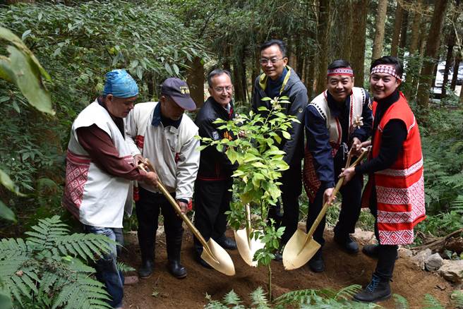 老中新三代赛夏族人共同种下南庄橙。（谢明俊摄）