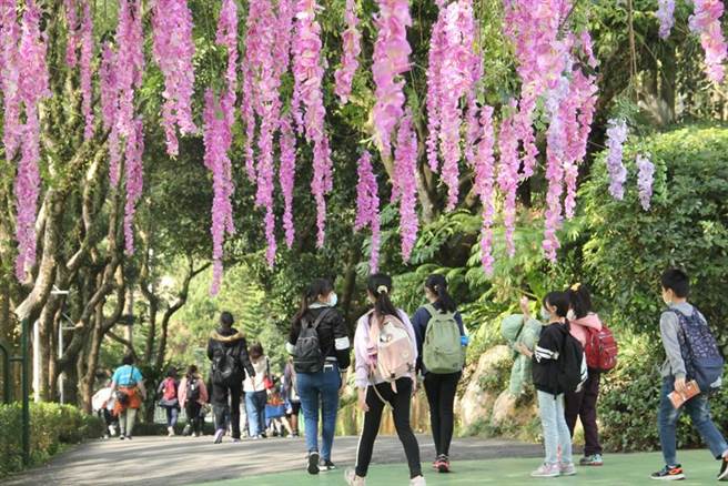剑湖山世界拥有宽广的场域及眾多的乔灌木，空气清新散发浓郁芬多精。（图／剑湖山提供）