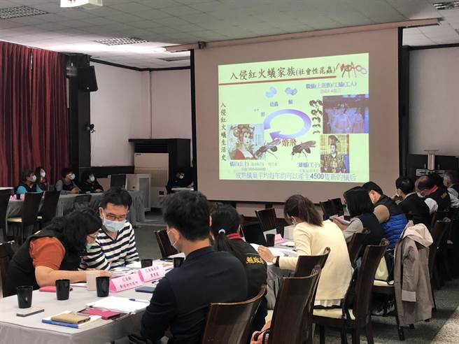 因红火蚁除了会捕食蚯等土栖动物，也会取食作物的种子、果实等，影响作物成长与收成，造成农业损失；花莲县府也立即会同相关单位启动防治措施。（花莲县府农业处提供／罗亦晽花莲传真）