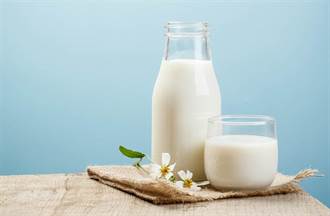 喝牛奶會生痰？營養師舉科學證據點破關聯性