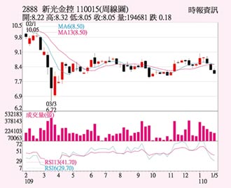 新光金 去年賺逾百億