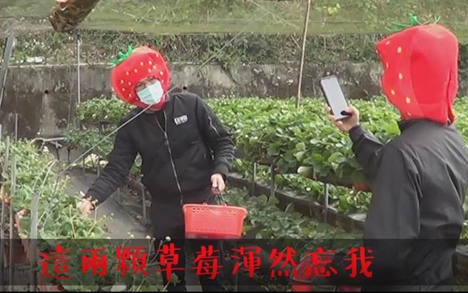 苗栗县警察局大湖分局29日举办金融机构防抢演练，不仅强化金融机构防抢意识及员警处置能力，也融入推广大湖知名农产品「草莓」。（大湖警分局提供／巫静婷苗栗传真）