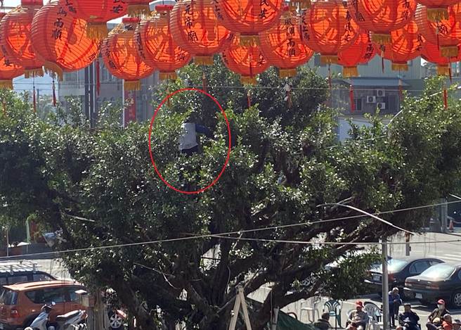 左營警分局左營派出所副所長蔡太雄在元帝廟前修剪樹木。（警方提供／林瑞益高雄傳真）