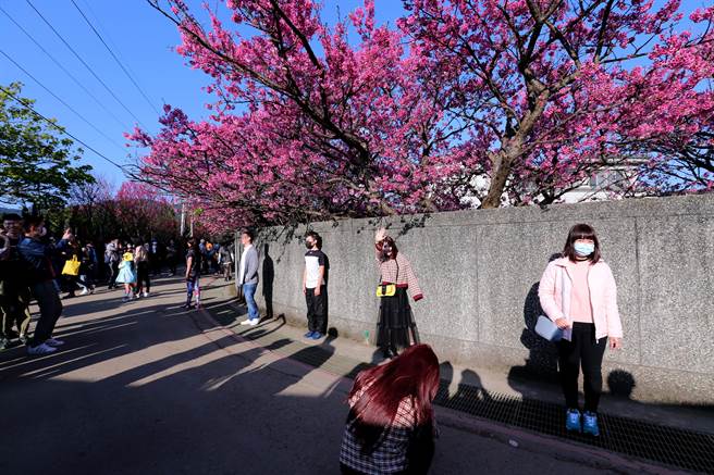 民眾各自选定一块围墙区域站定，摆出各种姿势拍摄「网美照」打卡留念。（黄世麒摄）