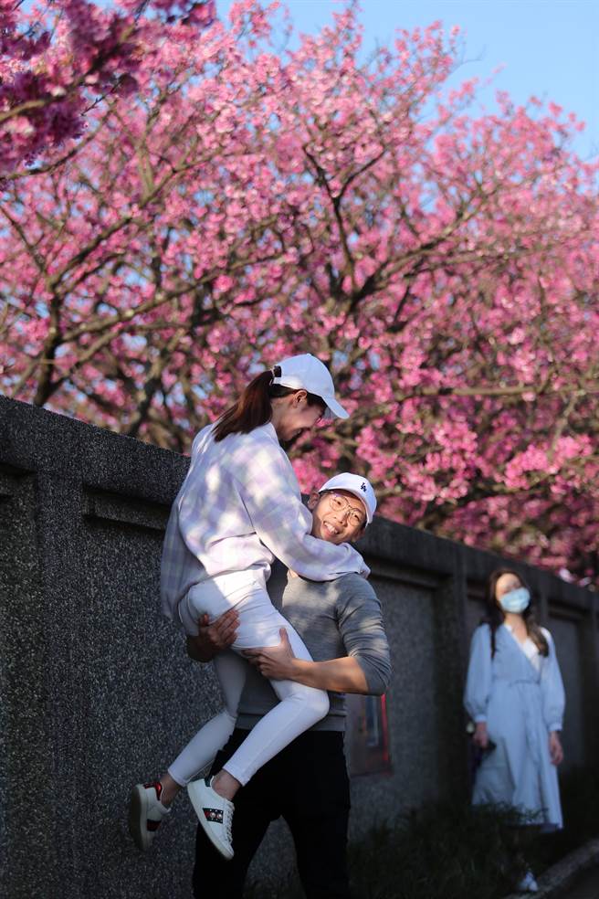 不少人更是攀坐在围墙上，留下美丽的影像，但离开时就得辛苦友人帮忙了。（黄世麒摄）