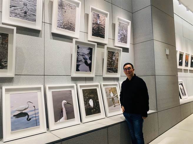 麗明營造董事長吳春山用手機為白鷺鷥留下上萬張照片，這些美麗的畫面，精選出35張在法鼓山台中寶雲寺展出。（盧金足攝）