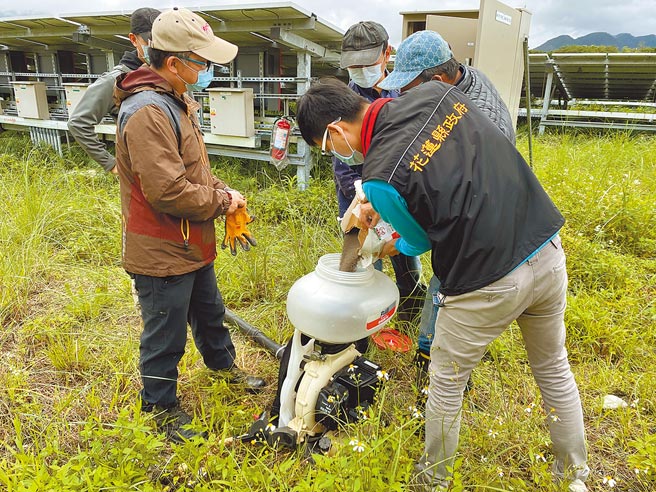花莲县府获报后赶紧灌注药剂消灭红火蚁。（花莲县府农业处提供／罗亦晽花莲传真）