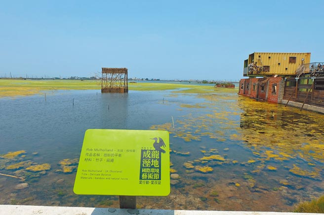云林县口湖乡成龙溼地生态保育有成，却面临光电场进驻衝击。（本报资料照片）