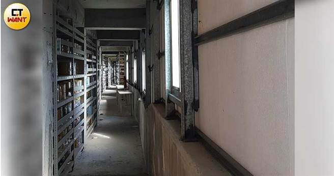 供奉在圆觉寺内的骨灰罈被移置到地下室，空间阴暗狭小，且一放就是9年还不让家属探视。（图／周志龙摄）