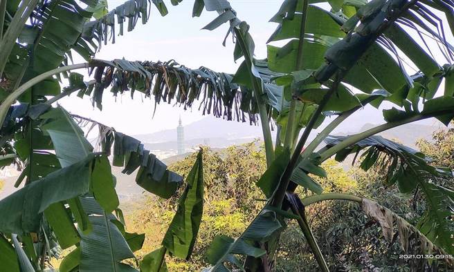 蔡诗萍》跑吧！一起发现台湾的美(图/爱传媒提供)