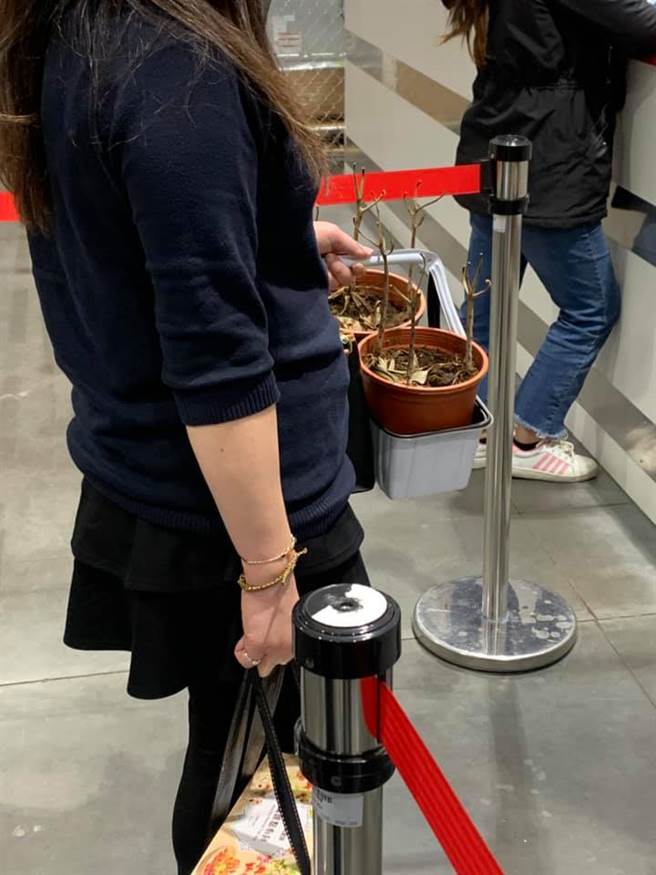 一名网友逛好市多发现一名女子手拿枯萎盆栽欲办理退货，令他傻眼。（图／翻摄自爆废1公社）
