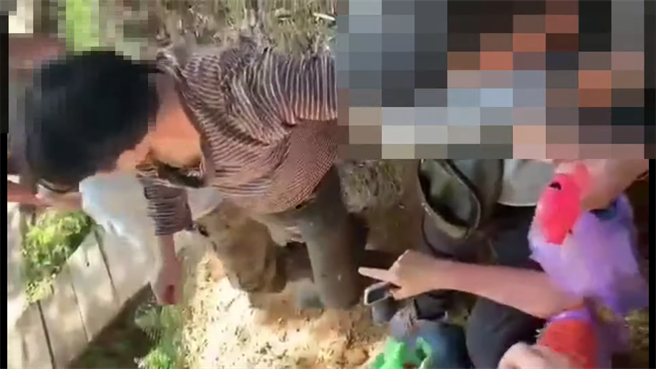 新北市一個家庭31日前往內湖柑橘園採果，但卻遇上暴力衝突，毀了美好的家族旅遊，圖中身穿咖啡色條紋上衣的為出手打人的果園老闆兒子。（翻攝爆料公社網站）