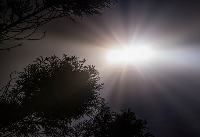 有民眾说，上周六傍晚在加州洛杉矶附近出现了碟状不明飞行物，图为示意图。（达志影像/Shutterstock）