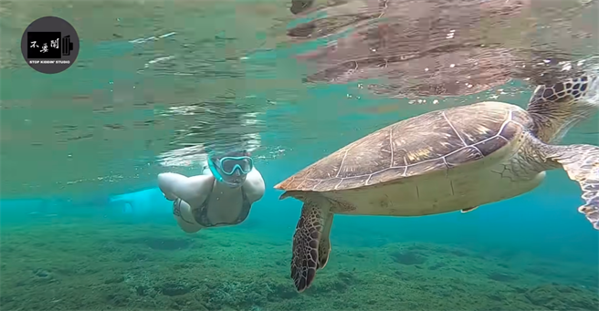 俄罗斯妹游小琉球 目睹海龟吃塑胶泪崩。(翻摄自youtube)
