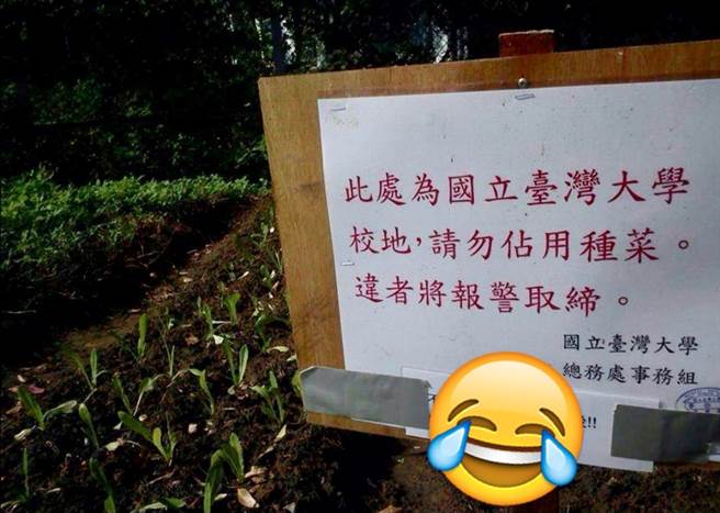 有民眾發現，竟人有人在台大校園內偷種菜被校方設告示牌警告，不過當事人下方的回應更爆笑。(圖/截自臉書社團 路上觀察學院)