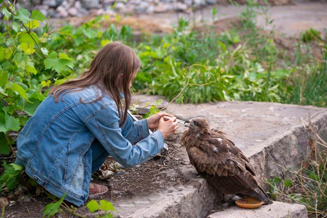 一位人妻抱怨婆婆不喜欢他们一家人养的宠物老鹰，决定搬家之后态度却大转变，人妻无法忍受婆婆情绪反覆，直接封锁不再连络。（示意图／Shutterstock）