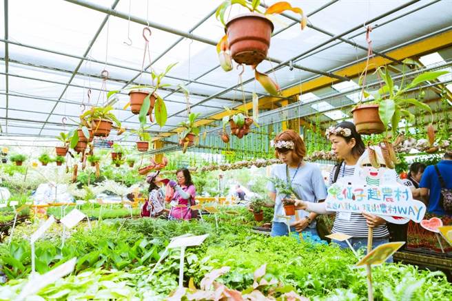 劳动力发展署中彰投分署推荐培力就业计画彰化田尾花乡小旅行，春节一起体验花艺之美。（资料照．劳动力发展署中彰投分署提供）