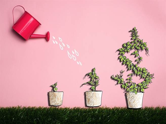 投资型保单现热潮，该怎么买？小花顾问给你建议……(图/小花平台保险提供)