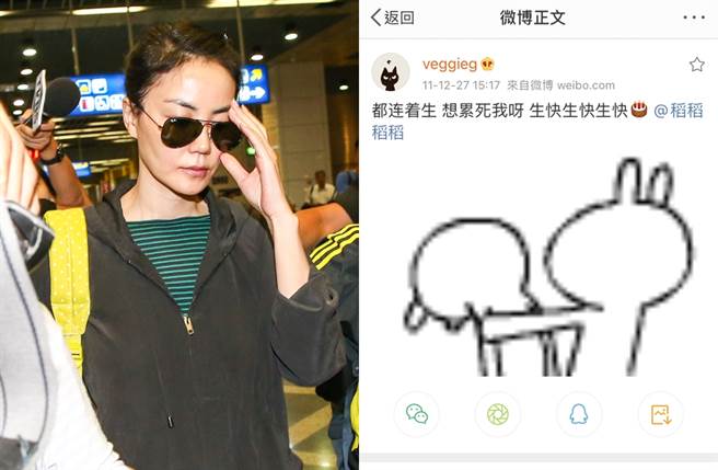 王菲过去曾发文替好友「稻稻」庆生。（图／中时资料照片；翻摄自veggieg微博）