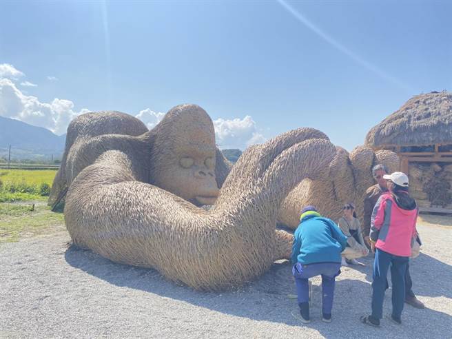 「富里稻草艺术季」20件作品中，「啾咪大猩猩」表情逗趣，未开幕前就已吸引许多民眾朝圣，瞬间荣登今年人气王。（罗亦晽摄）