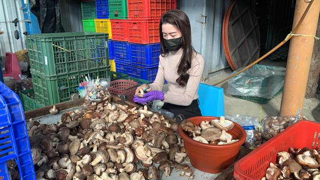 王新雅說，她與妹妹王新嵐兩人只要一休假就會返家幫忙，圖為妹妹王新嵐。（圖／王新雅授權提供）