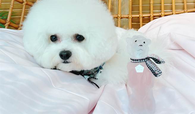 Miss Dior花漾迪奥淡香水BOBBY限量復刻版。（邱映慈摄）