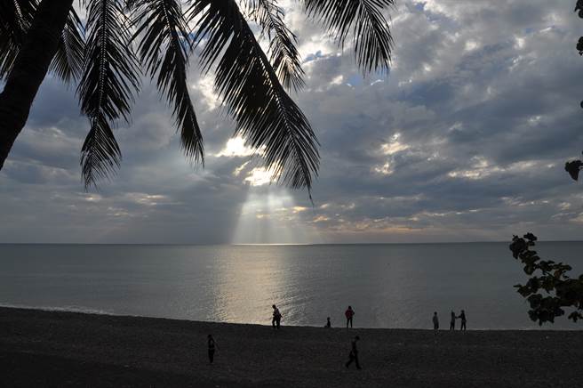 梦中的橄榄树还在小城故事中吗？（作者提供）