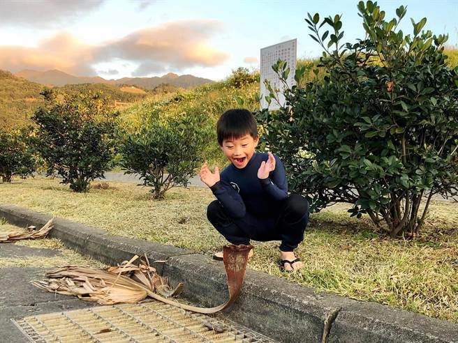 兒子指著路邊的枯枝堆說「小心！有眼鏡蛇」，男子事發發現是「形似眼鏡蛇的枯枝」。（圖/翻攝自臉書「爆怨公社」）
