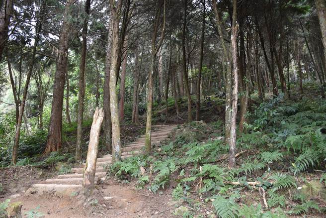 过去的加里山是严禁赛夏族人入山的。（谢明俊摄）
