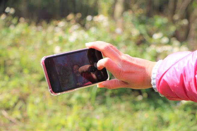 面对山红浪漫景色，民眾开心拿出手机玩自拍。（黄婉婷摄）