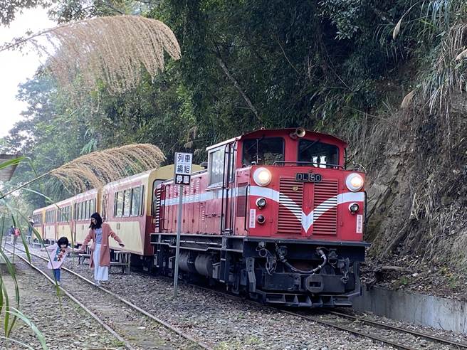 梨园寮车站是阿里山林铁唯一位于梅山乡的车站且无人看管的招呼站，也是传说中汽车到不了的车站，需要穿过树林小径才能抵达的秘境车站。（冯惠宜摄）