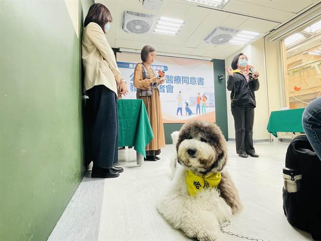 北市首推公版動物醫療同意書 協助飼主確認診療內容。（吳康瑋攝）