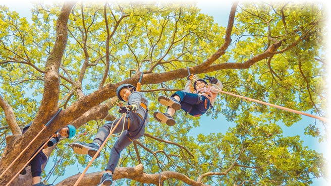 提供生态导览的「筑梦森居」，不但可体验「蜘蛛人」攀树趣味，还有亲子攀岩等活动。（嘉义县政府提供／吕妍庭嘉县传真）
