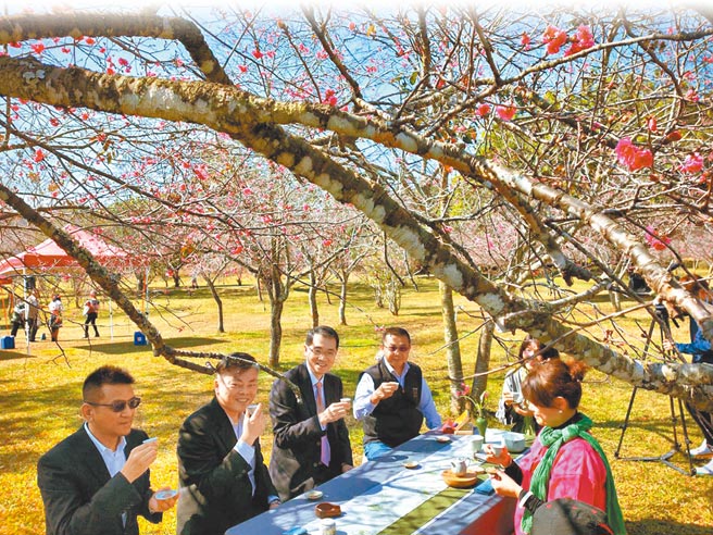 暨南大学樱花季2日举行开幕记者会，由暨大校长武东星（左三）亲自主持开幕。（暨大提供／黄立杰南投传真）
