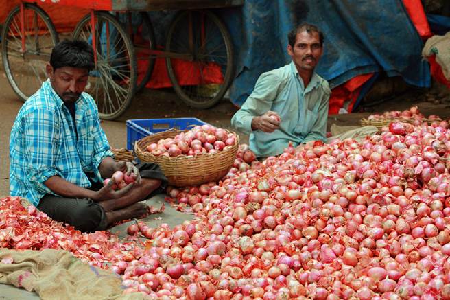 洋葱是许多印度人摄取蔬果主要来源。图为班加罗尔市场上洋葱小贩。(达志影像shutterstock)