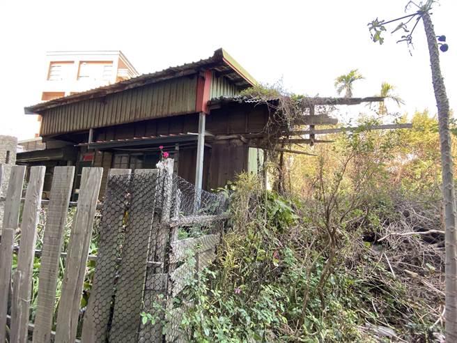 建於日據時代的苗栗縣通霄國小忠孝路日式教職員宿舍，現僅剩1戶實際有人居住，其他4戶荒廢埋沒於垃圾與雜草中，仍見建物殘破模樣。（巫靜婷攝）
