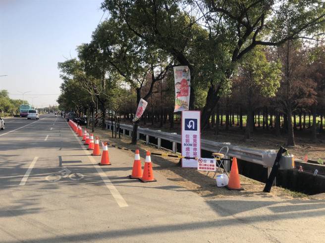 2月6日起，台南六甲落羽松季期間，台1線南下298.9K至300.3K路段沿線將禁止臨時停車。（台南市麻豆警分局提供／劉秀芬台南傳真）