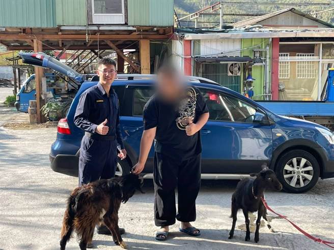 头份分局南庄分驻所协助2头跷家羊寻回主人家。（头份警分局提供／谢明俊苗栗传真）