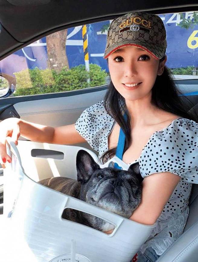 海伦清桃常开车带琪琪兜风，还搞笑地把琪琪装在收纳盒中，模样十分可爱。（图／海伦清桃提供）