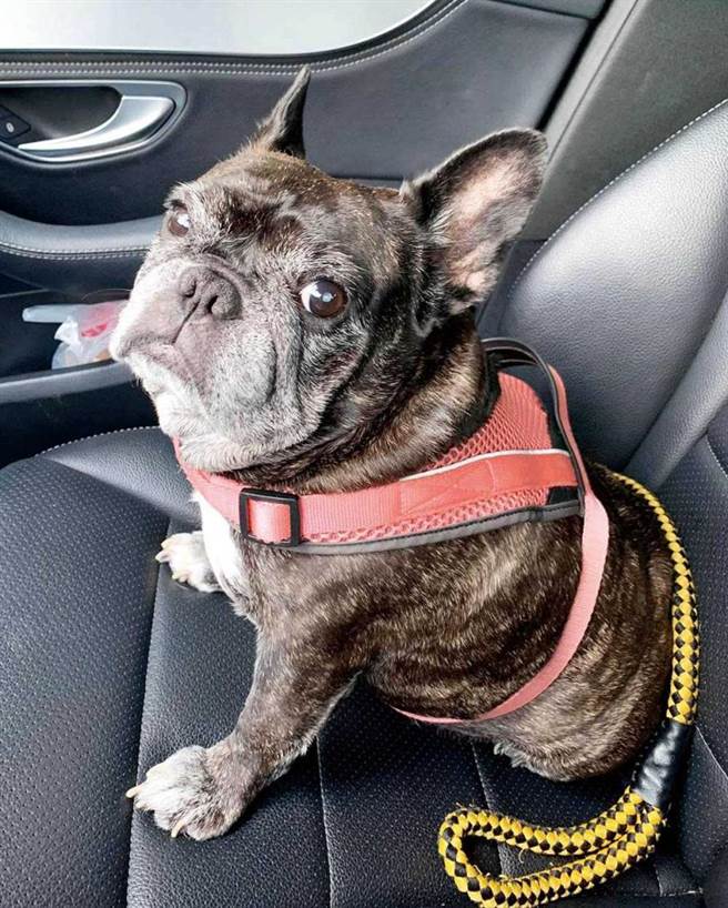 （图／海伦清桃提供）