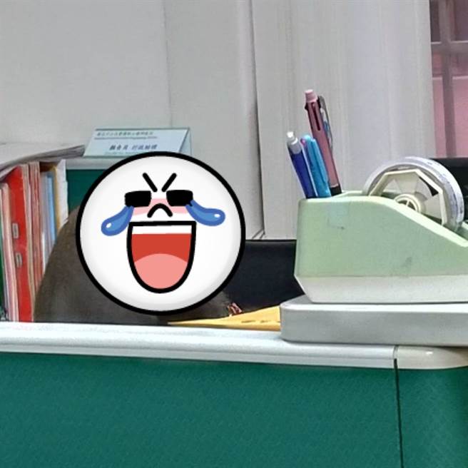 猕猴闯中山大学扮教授加班，引发网友热议，许多人笑喊，工读生不要装了，快出来。（图／翻摄自脸书）