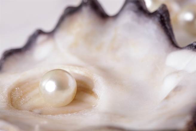 珍珠一般是长在贝类身上，但罕见的「Melo」橘色珍珠却是出现在海螺里。（示意图／达志影像）